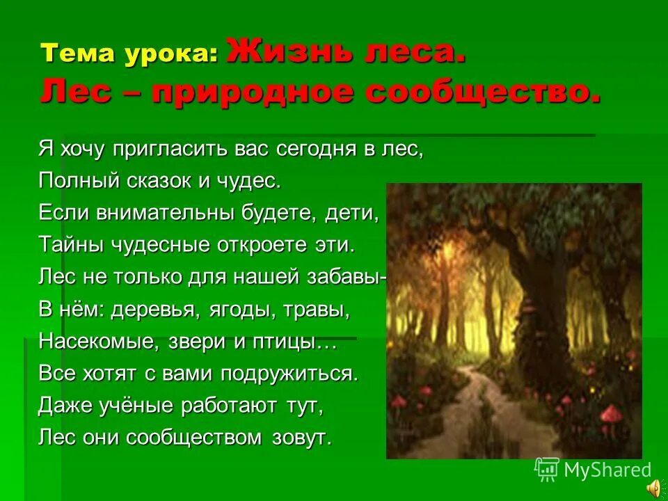 Жизнь леса 2 класс окружающий мир. Тема жизнь леса. Слайд лес полный сказок и чудес. Жизнь леса 4 класс. Проект жизнь леса.