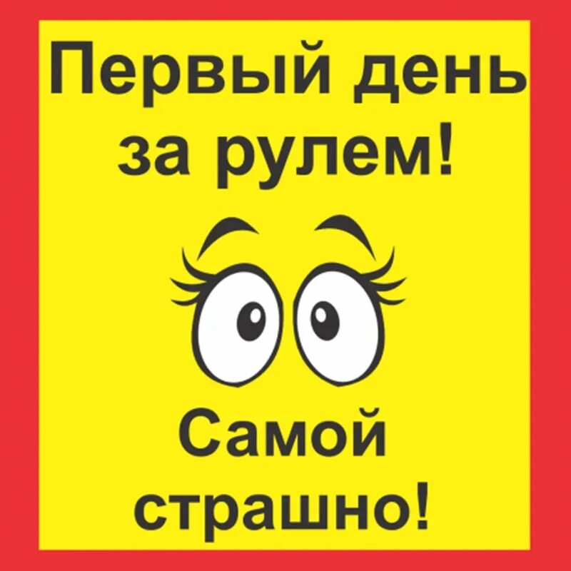 Наклейки на авто новичок за рулем. Наклейка на авто первый день за рулем. Подушка для водителя прикольные. За рулем стажер табличка. Skoda прикол.