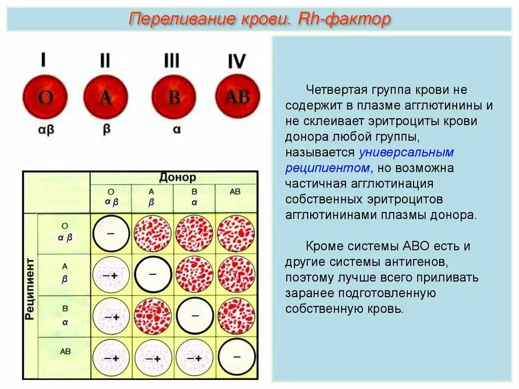 2 группа крови определение. В системе резус фактор в плазме крови агглютинины. Группы крови 2 + 4 группа. Антитела плазмы 1 группы крови. Агглютинация эритроцитов произошла в сыворотках 1 и 3 групп крови.