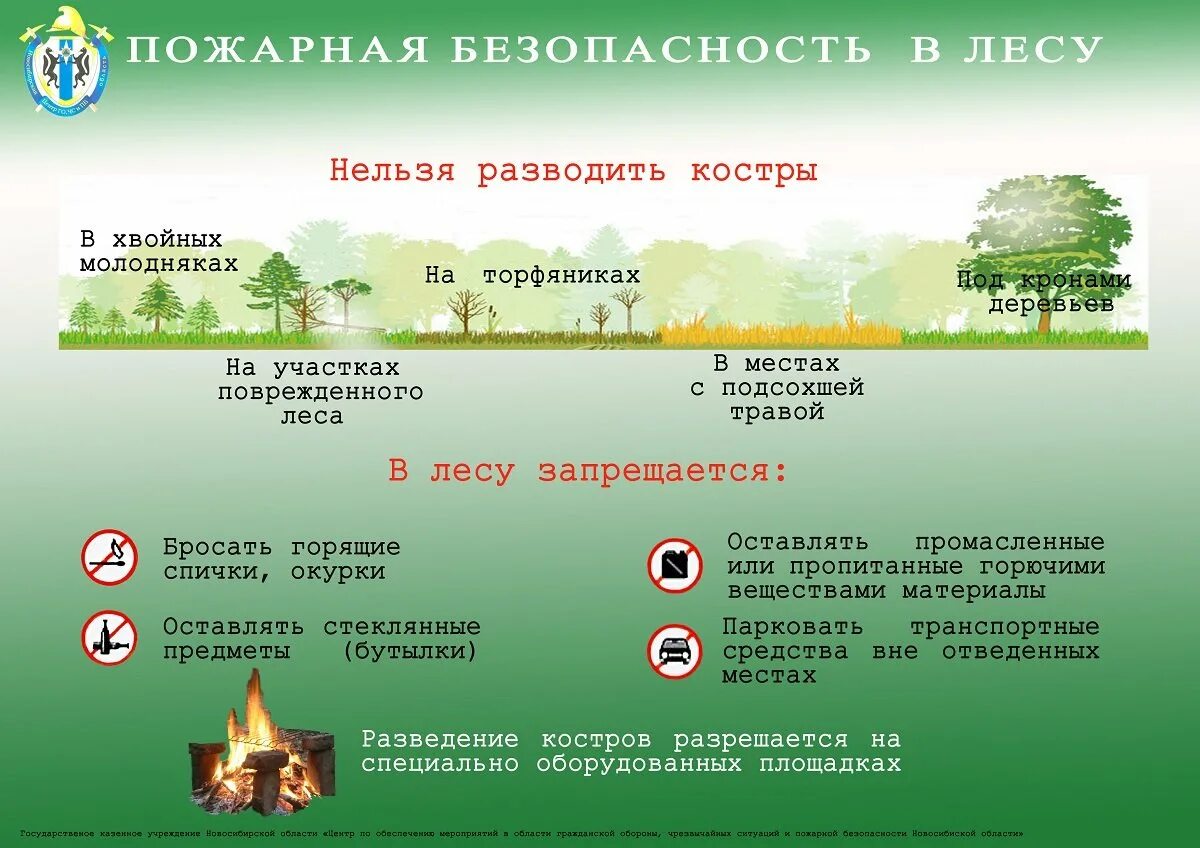 Пожарная безопасность в природной