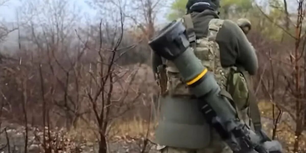 Военкоры русской весны телеграм-канал. Снайпер всу. Военкоры весны телега. Военкоры русской весны телеграмм канал. Комбат командир батальона.