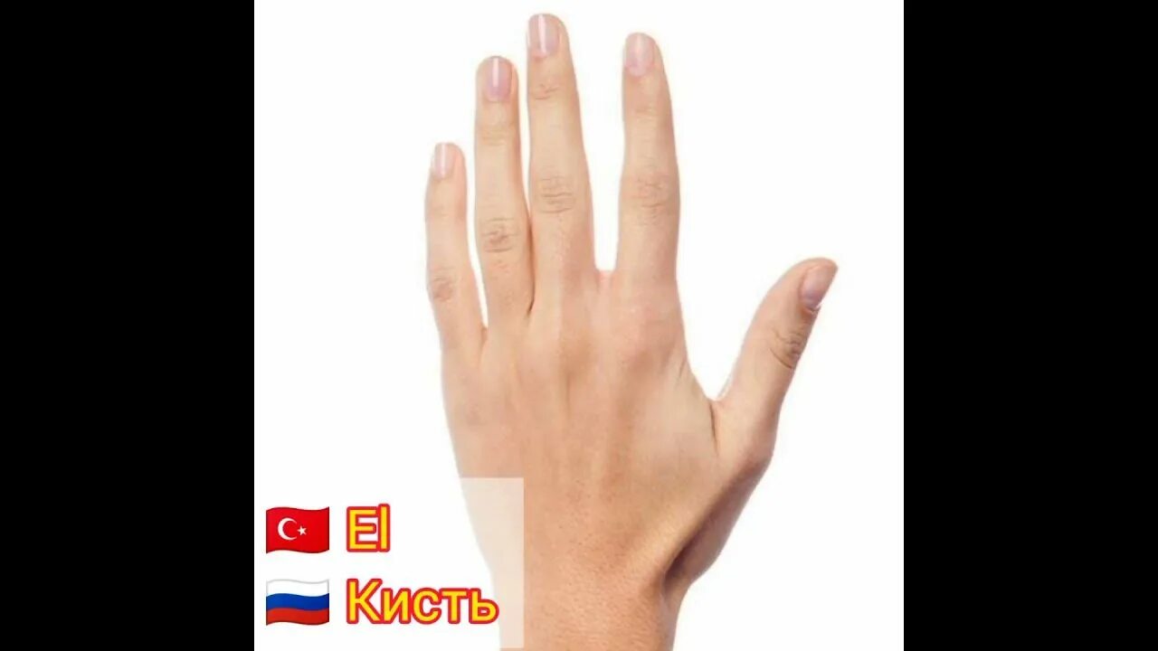 Раскрытая ладонь. Hands reference art. Моделирование кистей рук. Руки референс. Рука хватает.