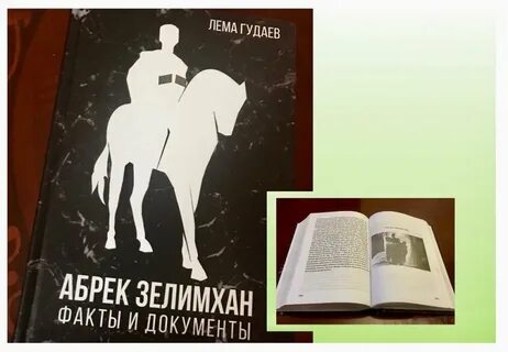 Абрек книга