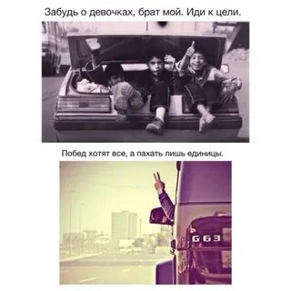 Лишь единица