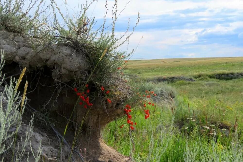 Молодое оренбуржье. Оренбургская обл.