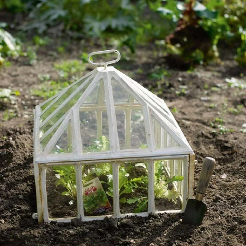 Мини теплица житница купить. Mini Greenhouse. Винтажная мини теплица Green House. Парник для рассады zb15 Victorian Style Greenhouse small. Вертикальный парник.