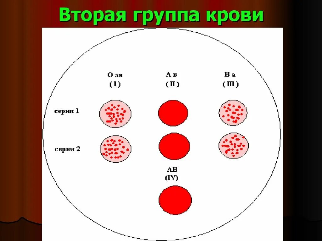 Следующую группу