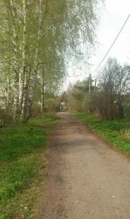 Снт проектировщик
