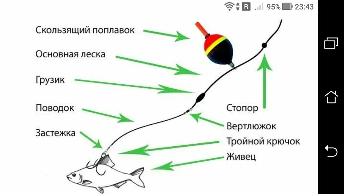 Снасть на щуку на живца