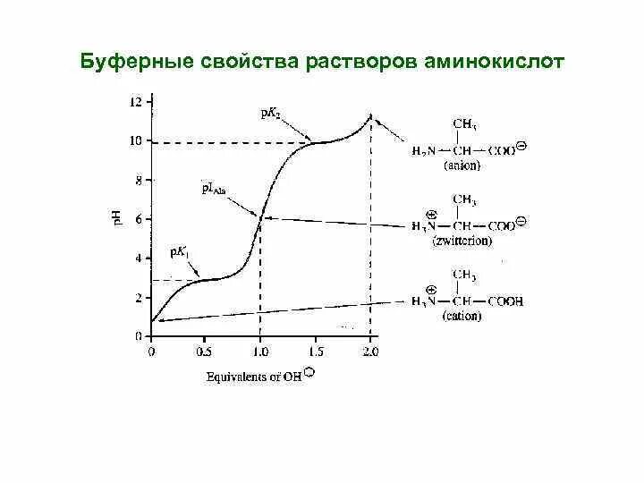 Буферные свойства белков. Буферные свойства растворов аминокислот. буферные свойства аминокислот. свойства буферных растворов.
