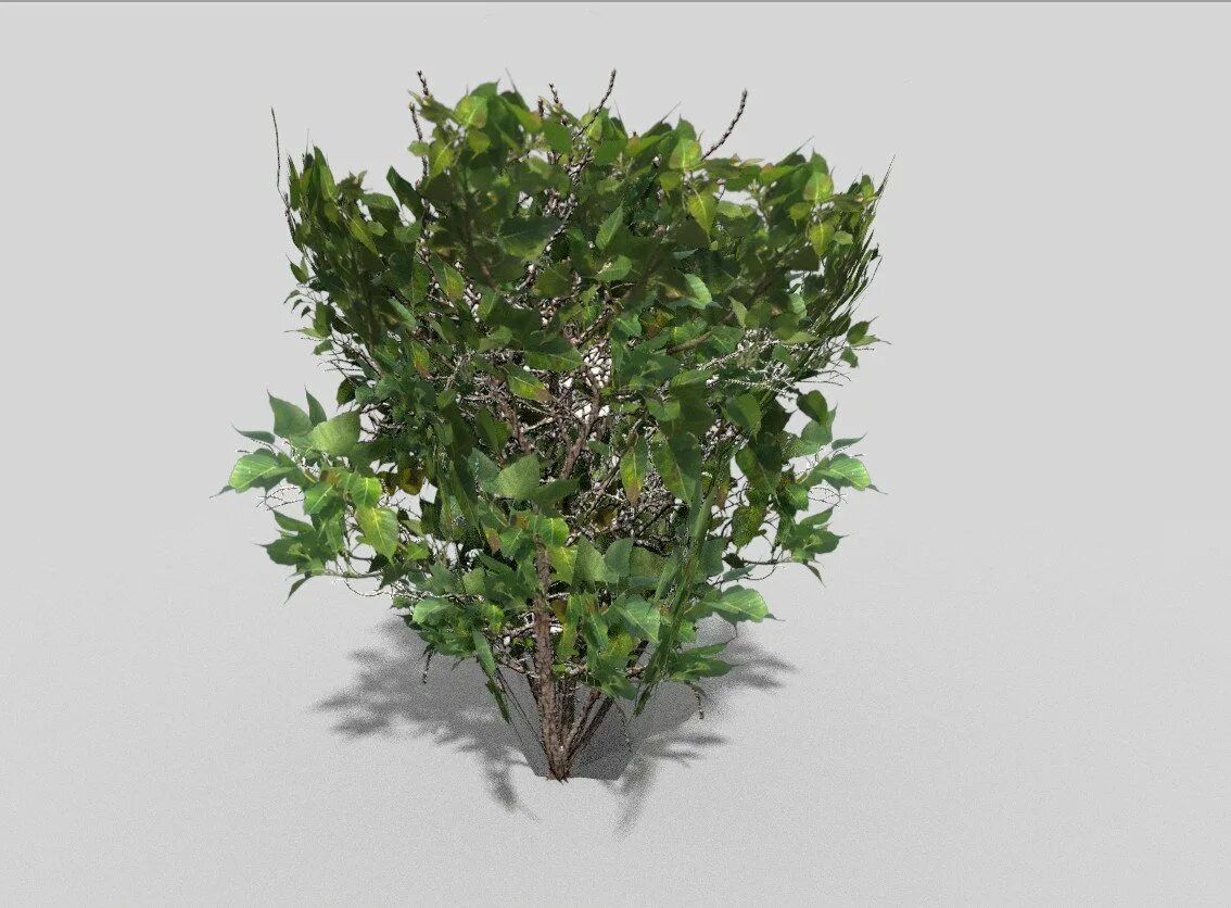 Куст 3д модель. Низкополигональные растения 3d max. лоу поли кустарники. куст blender 3d. низкополигональные кусты.