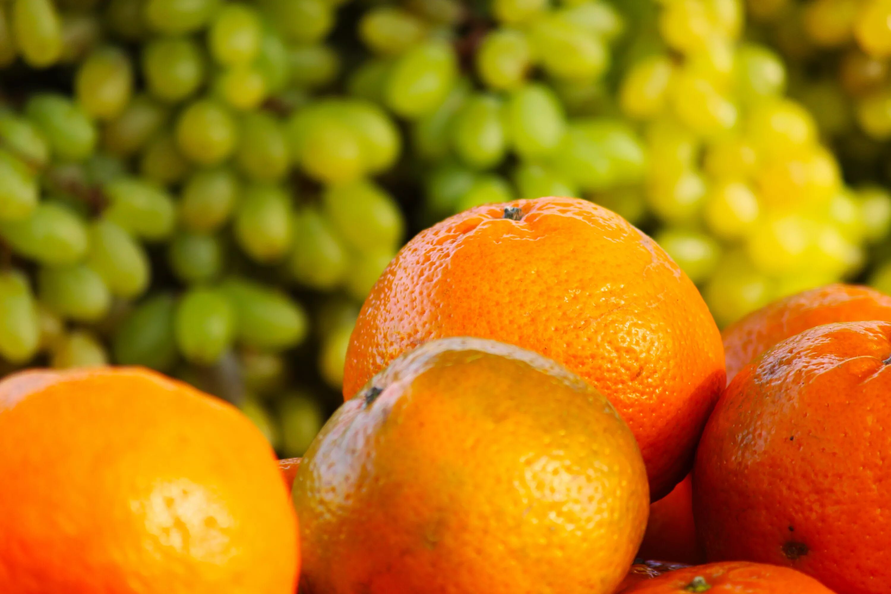 Мандарины апельсины виноград. Оранжевый фрукт. Фрукты оранжевого цвета. Оранжевые фрукты и овощи. Апельсин фрукт или ягода