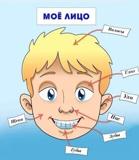 Изучаем лицо ребенка