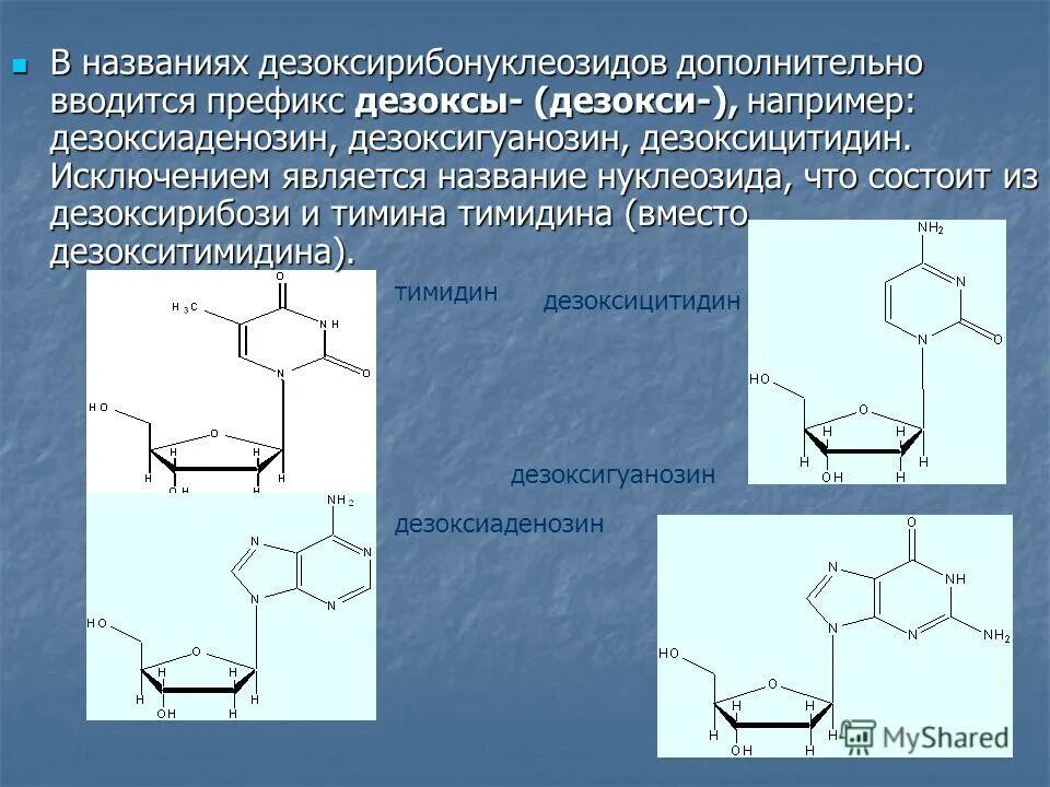 Является названием. Дезоксиаденозин 5 дифосфат. Продукты гидролиза нуклеозида дезоксицитидина:. Дезоксигуанозин 5 фосфат формула. 2-Дезоксигуанозин гидролиз.