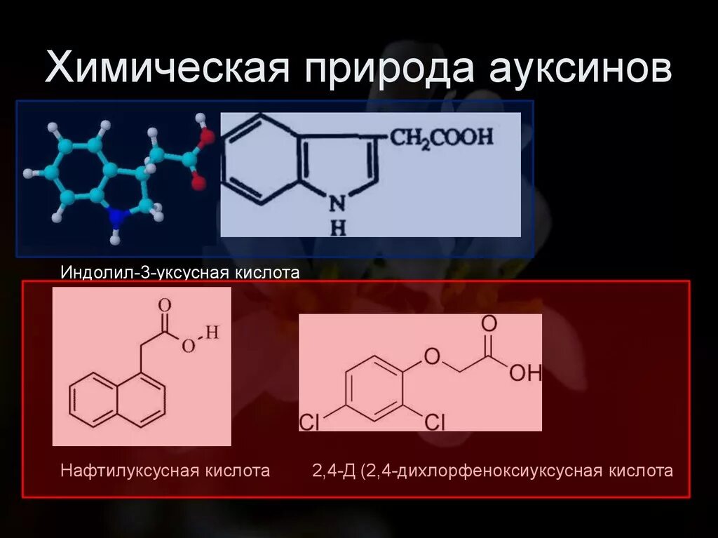 Химическая формула ауксина. Ауксин гормон химическая природа. Индолил-3-уксусная кислота. Нафтилуксусная кислота ауксины. 3 хлор уксусная кислота