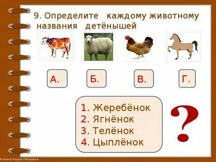 Дикий класс