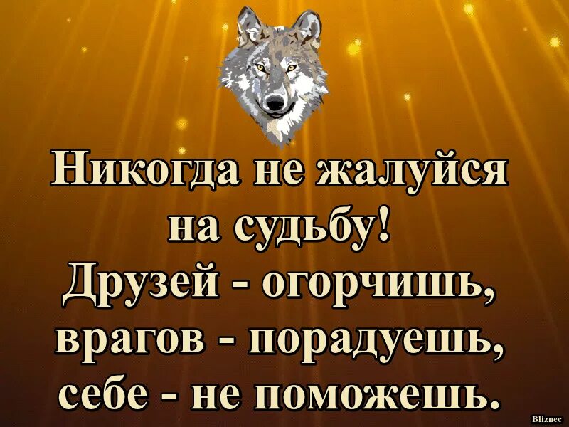 Не было ни друзей ни врагов. Никогда не жалуйся на судьбу. не жалуйся на судьбу. не жалуйся на жизнь друзей огорчишь врагов обрадуешь. врагов порадуешь.