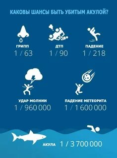 Сколько человек погибает от акул в год