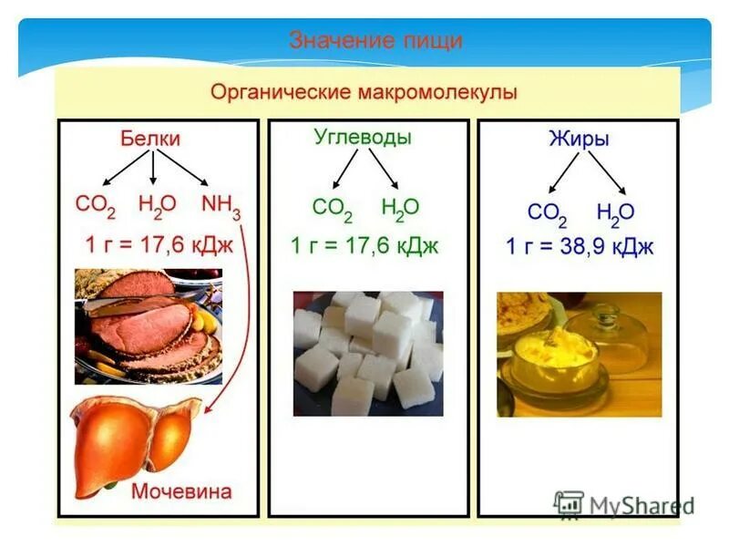 Какого значения питания