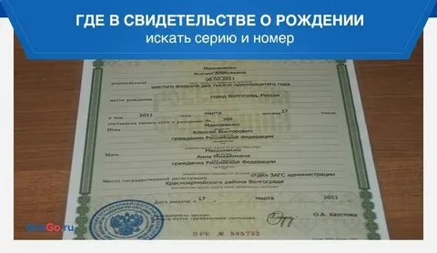 Как правильно указать серию свидетельства