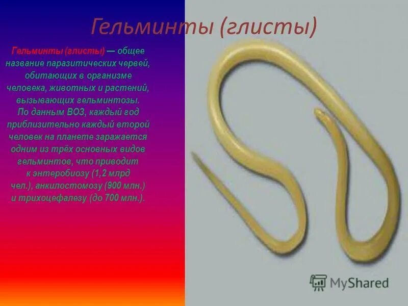 Признаки червей в организме человека