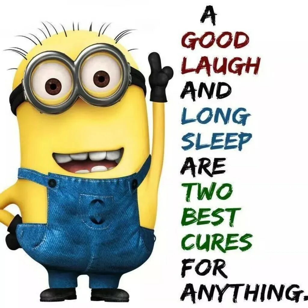 A good laugh. Talking Minion. Best laugh. Best laug. Have good laugh