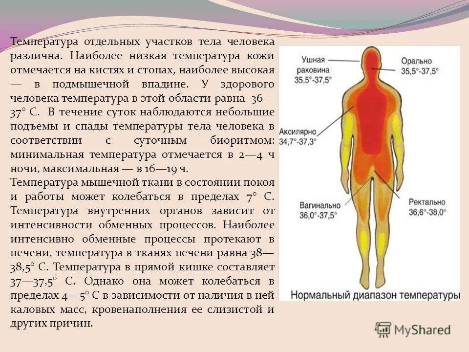 Всегда ли температура. Понижение температуры тела человека. Температура организма человека. Температура тела человека и его частей. Низкая температура тела.