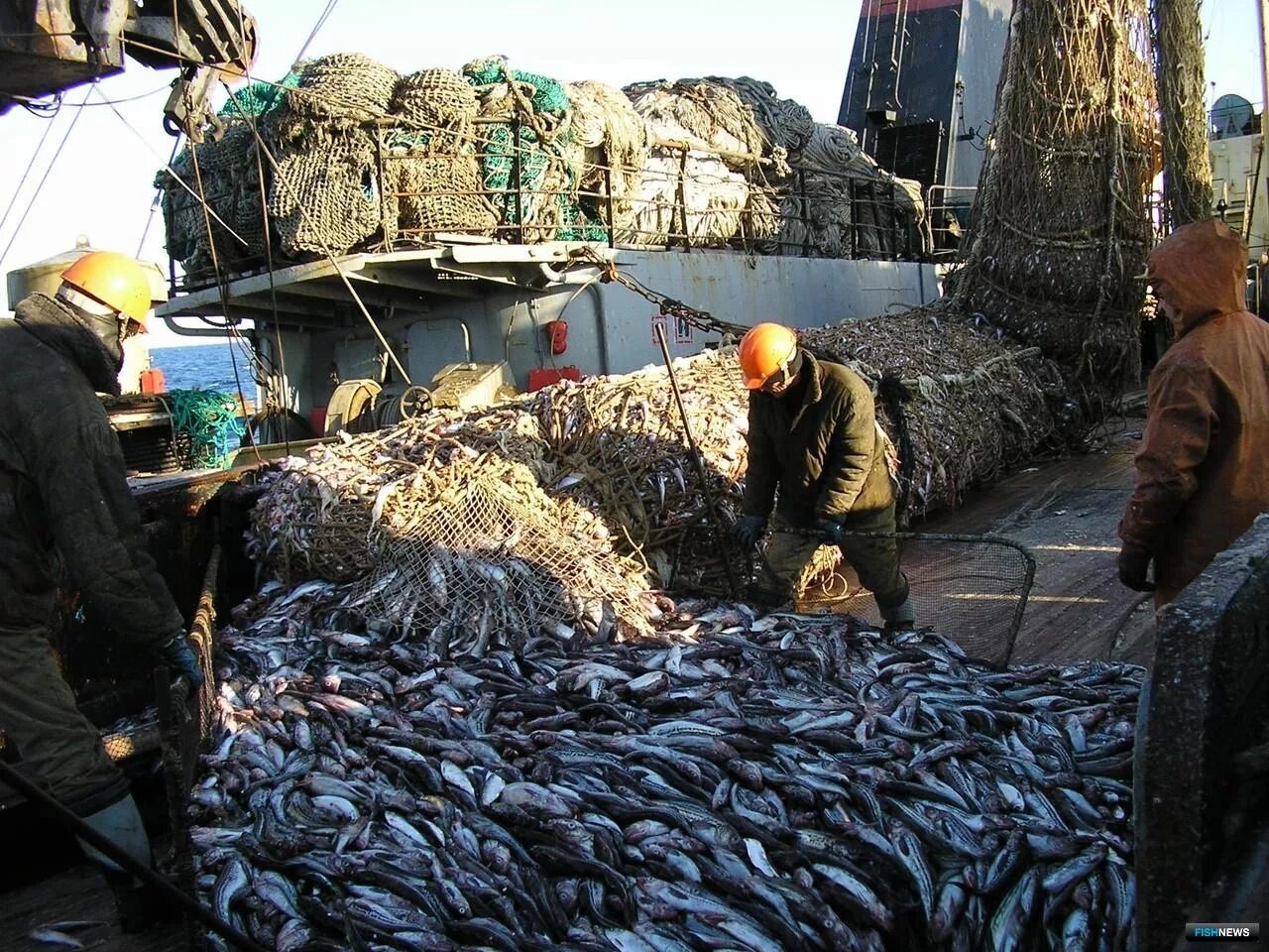 Находкинская база активного морского рыболовства. Промысел рыбы. Рыбная промышленность дальнего Востока. Переработка рыбы Дальний Восток. Канал промысел