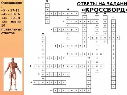 Нервная система человека анатомия. Органы нервной системы. Органы нервной системы. Нервный человек. Строение нервной системы человека.