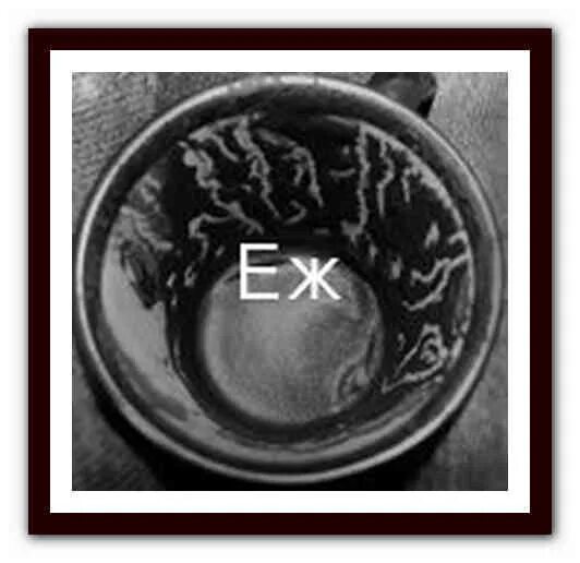 Еж на кофейной гуще. Ежик на кофейной гуще. кофейная гуща ежик на дне. ежик гадание на кофейной гуще толкование. кофейная гуща обозначения гадание ежик.