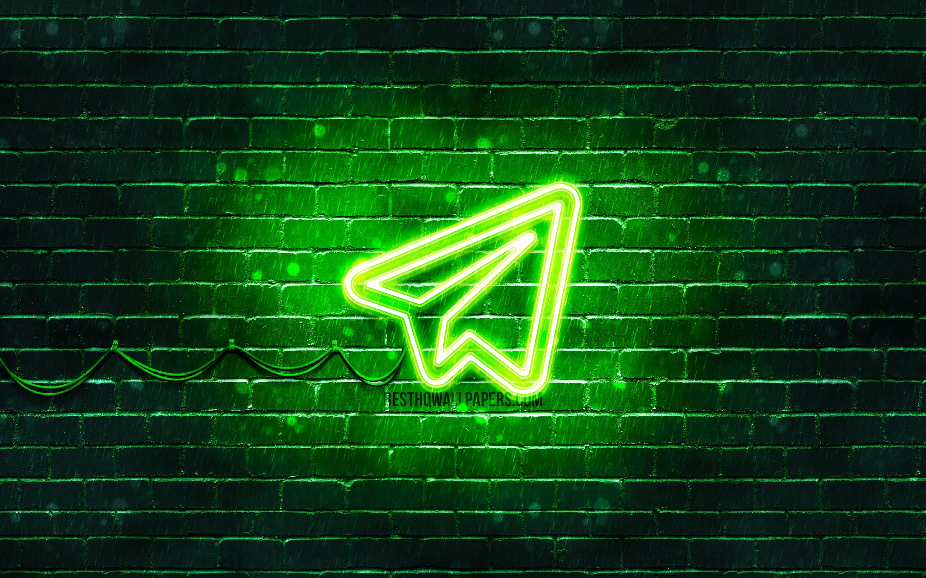 Фон для чата. Телеграм неон. Неоновый значок телеграм. Зеленый неоновый логотип. Значок телеграмм зеленый.