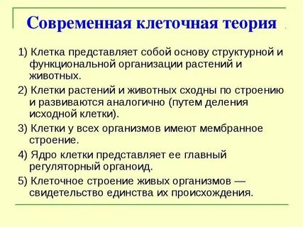 Типы строения органа