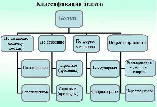 Классификация белков по строению. Классификация белков по функциям представители. Химическая классификация белков. Классификация белков простые и сложные. Основные группы белков