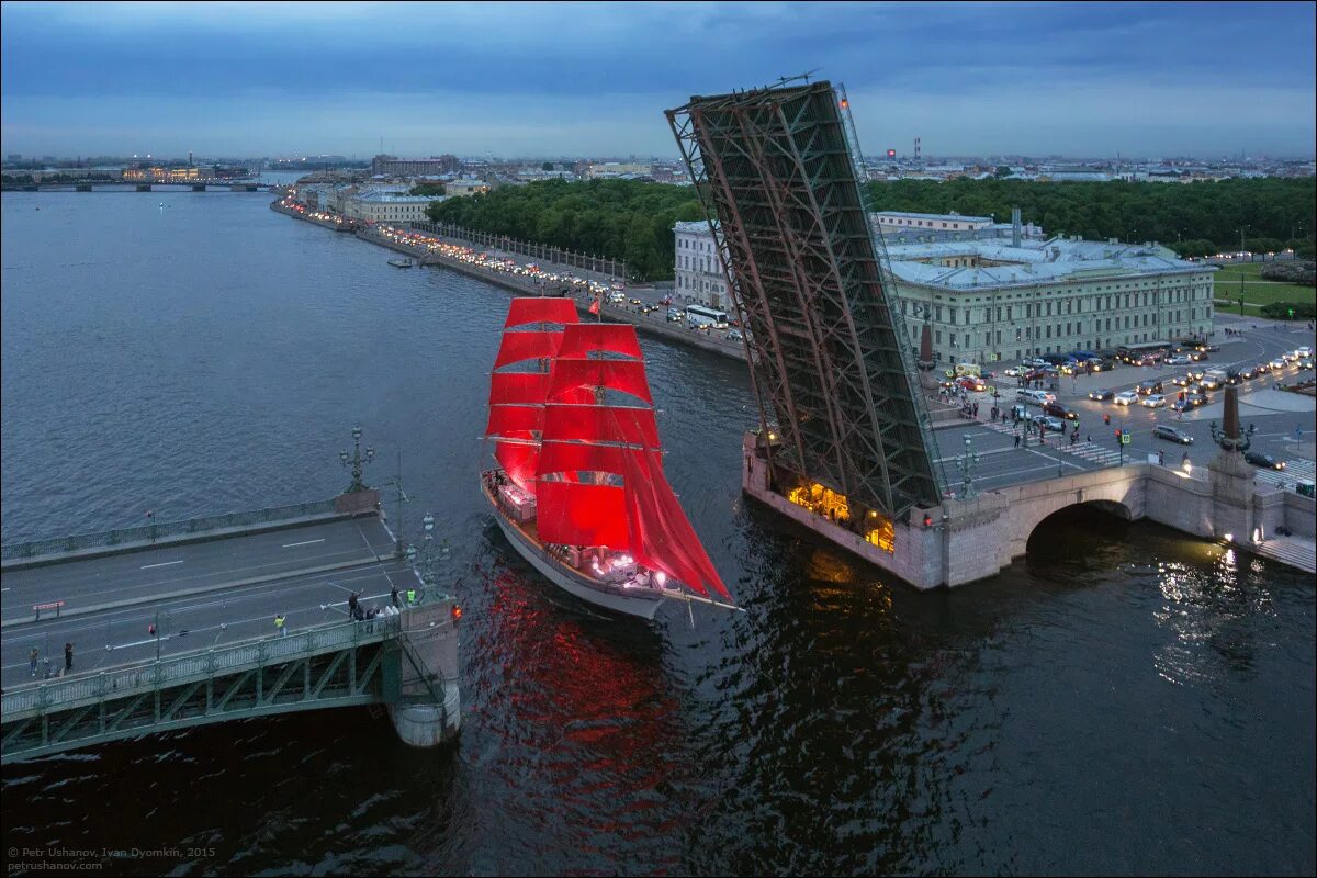 Фестиваль Алые паруса в Санкт-Петербурге. Разводные мосты в Санкт-Петербурге Алые паруса. Дворцовый мост в Санкт-Петербурге Алые паруса. Развод мостов Алые паруса Санкт-Петербург.