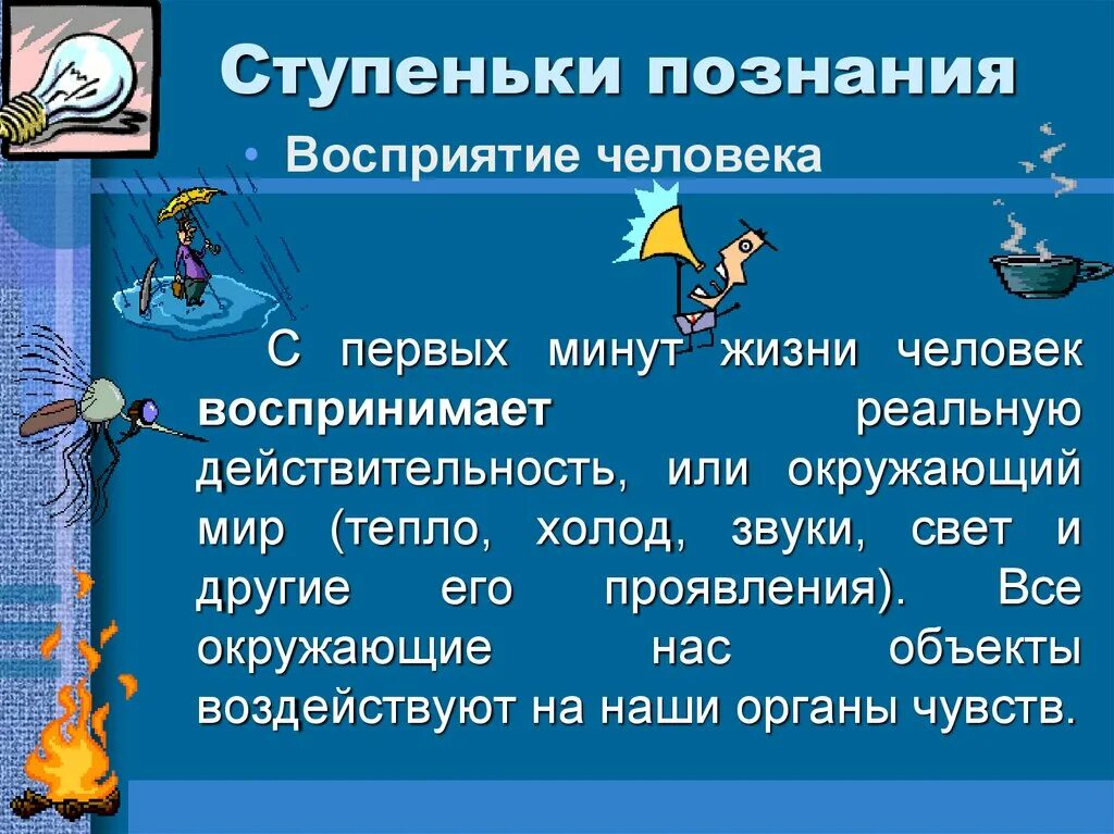 Познание предложения. Окружающий мир. Человек. Ступеньки познания человеком. Ступеньки познания восприятие.