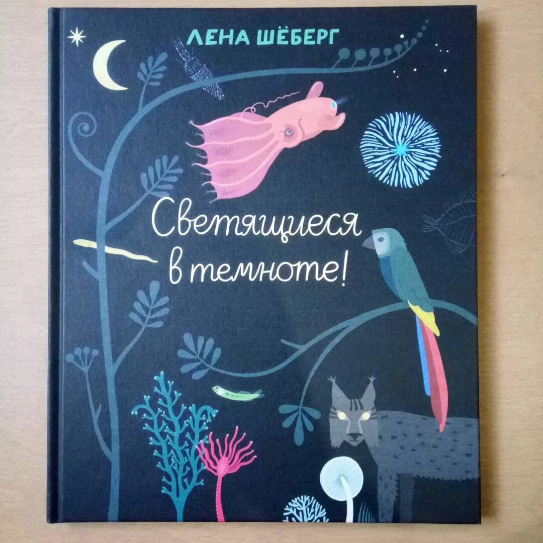 Лена Шеберг светящиеся в темноте. Книжка светится в темноте. Лена шёберг светится в темноте!. Книга светящаяся в темноте. Слушать книгу в темноте