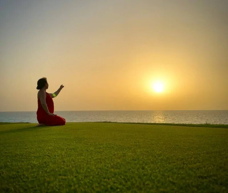 изобильная жизнь. волшебство исполнения желаний. солнце на ладони. изобильная жизнь. творить волшебство.