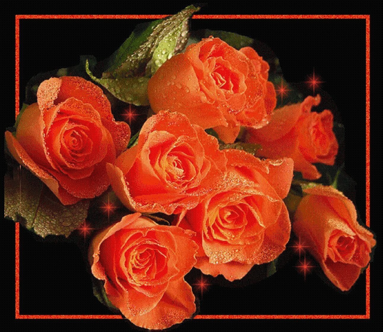 Мерцающие картинки. Цветы анимация. Мерцающие розы. Анимированные открытки цветы. Анимационные оранжевые розы.