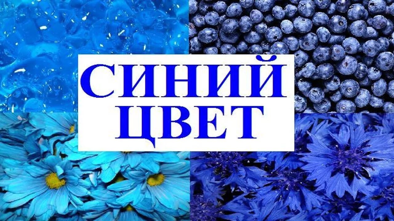 Синий день. Учим цвета синий. Изучаем синий цвет. Изучение синего цвета. Изучаем цвета голубой.