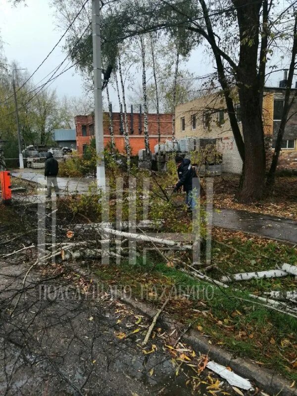 подслушано в нахабино. подслушано дедовск. подслушано нахабино. новости нахабино подслушано. подслушано в нахабино.