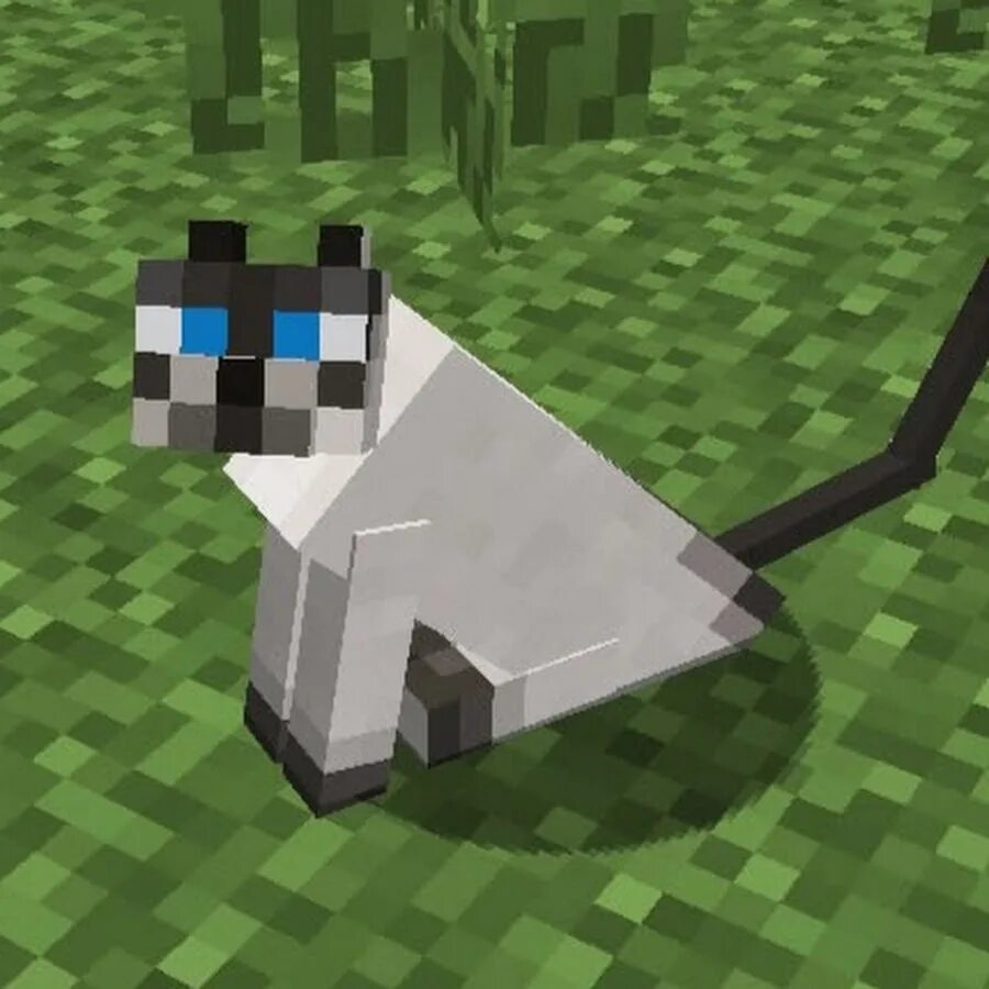 Котенок в майнкрафте. Кошка из майнкрафта. Ресурс пак майнкрафт fat cat. Кот оцелот майнкрафт. Покажи майнкрафт котика.