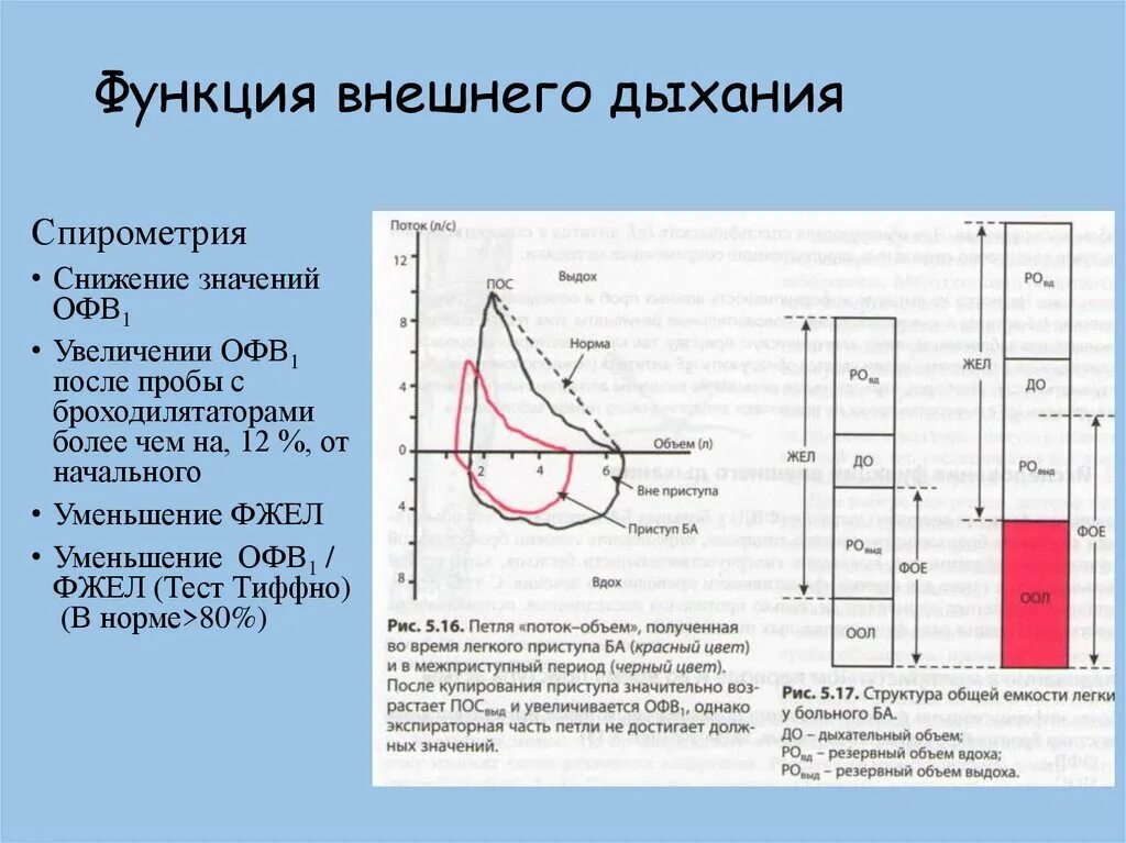 Тест функции дыхания