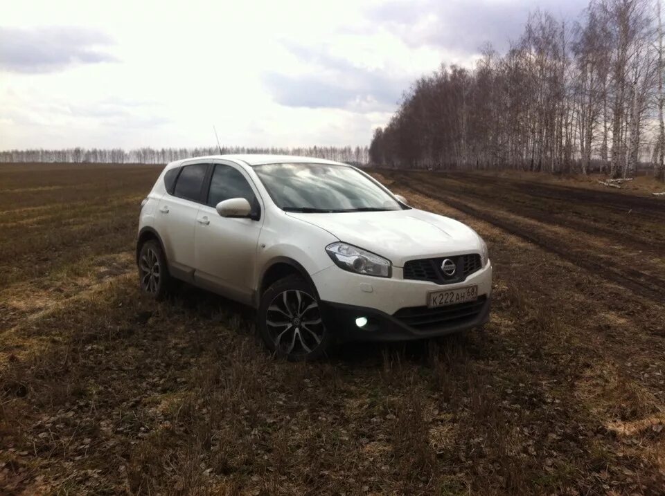 Ниссан кашкай белый металлик. Ниссан кашкай 2013 белый. Кашкай белый дым. Кашкай белый дым. Какой цвет машины белый или черный.