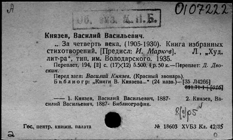 Дело васильевича