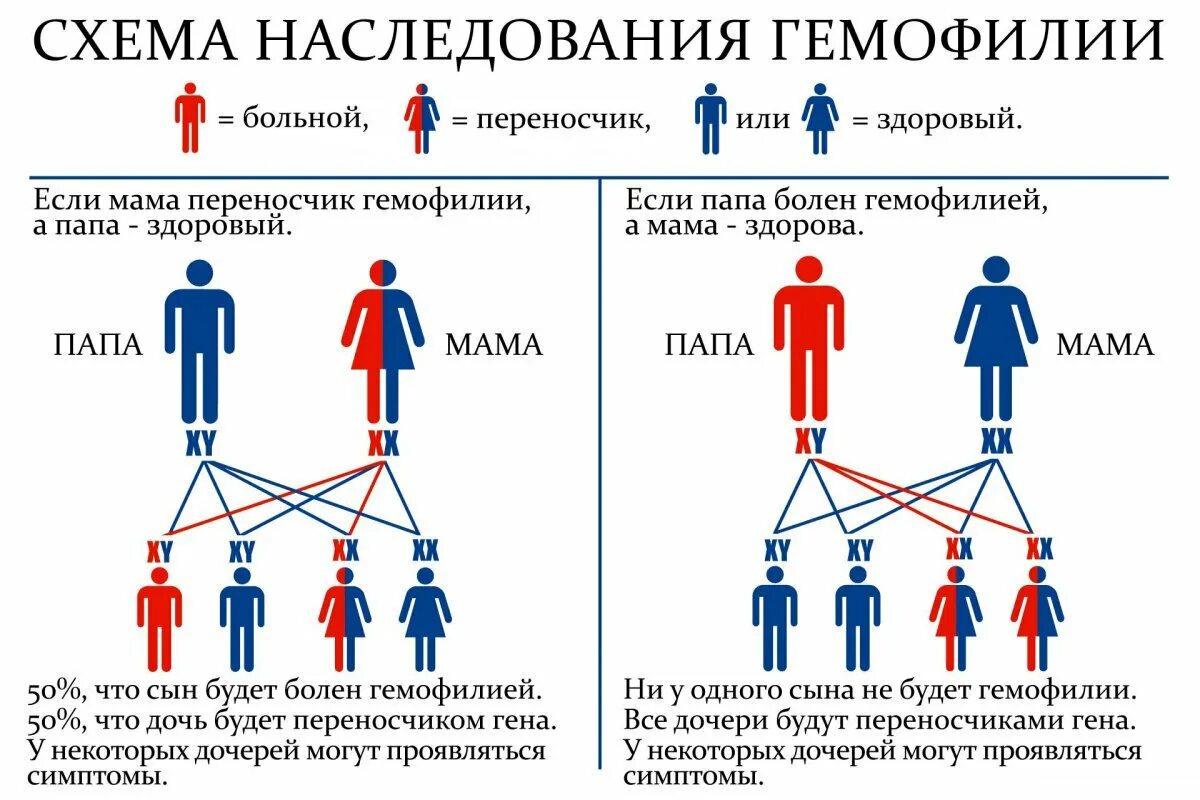 Гены детей от первого мужчины. Схема наследования гемофилии. Гемофилия наследуется по типу. Гемофилия Тип наследования. Гемофилия генетика Тип наследования.