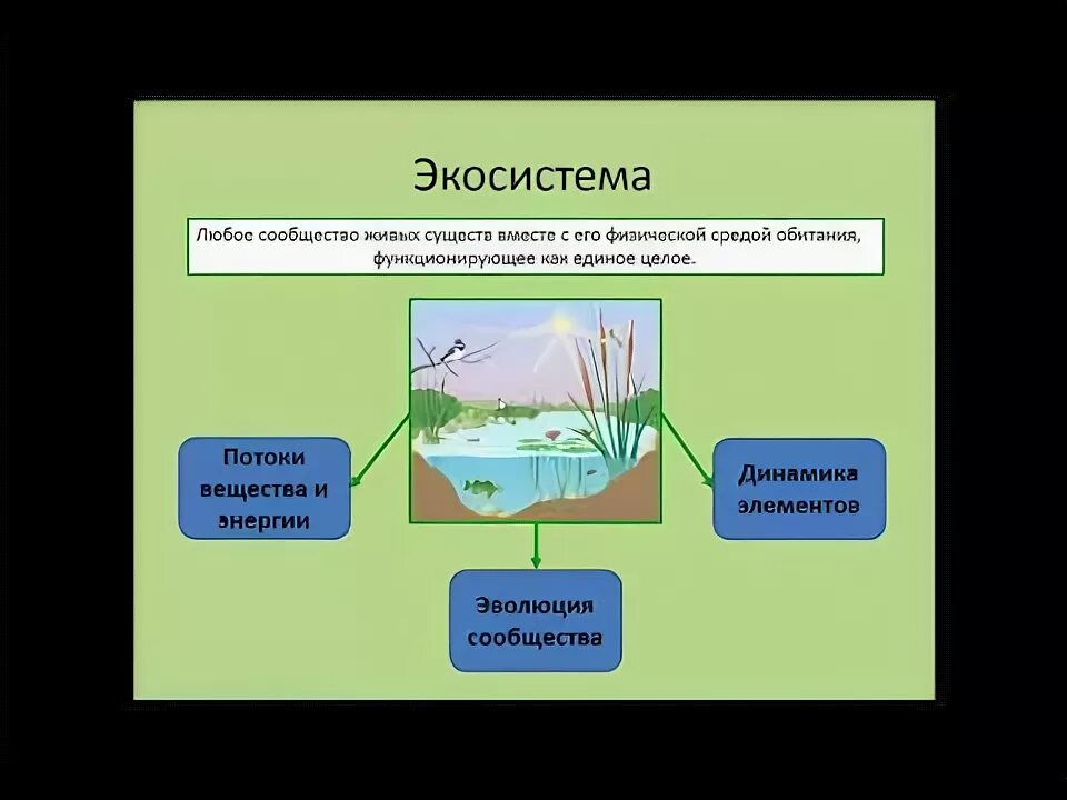 Биоценоз экосистема Биосфера. Структура экосистемы. Сообщество экосистема биогеоценоз. Экосистемы 9 класс.