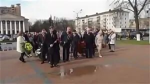 Прогноз погоды в жуковском