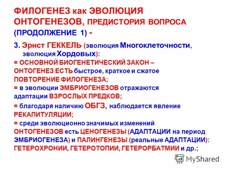 Строение филогенеза. Филогенез. Филогенез это в биологии. Понятие филогенез. Онтогенез и филогенез.