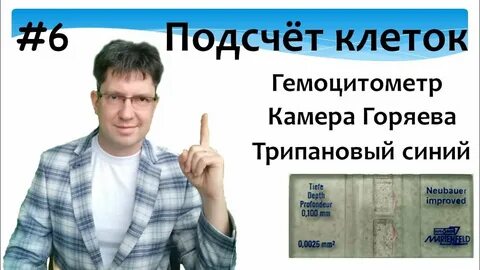 Настоящие 12 матриц горяева