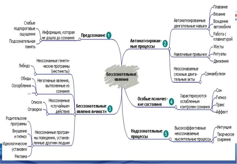 Развитие психики в филогенезе схема. Схема развития психики в процессе эволюции. Структурно логическая схема "филогенез психики". Развитие психики в филогенезе: стадии и уровни..